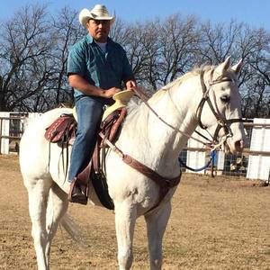 Meet your Posher, Rolando